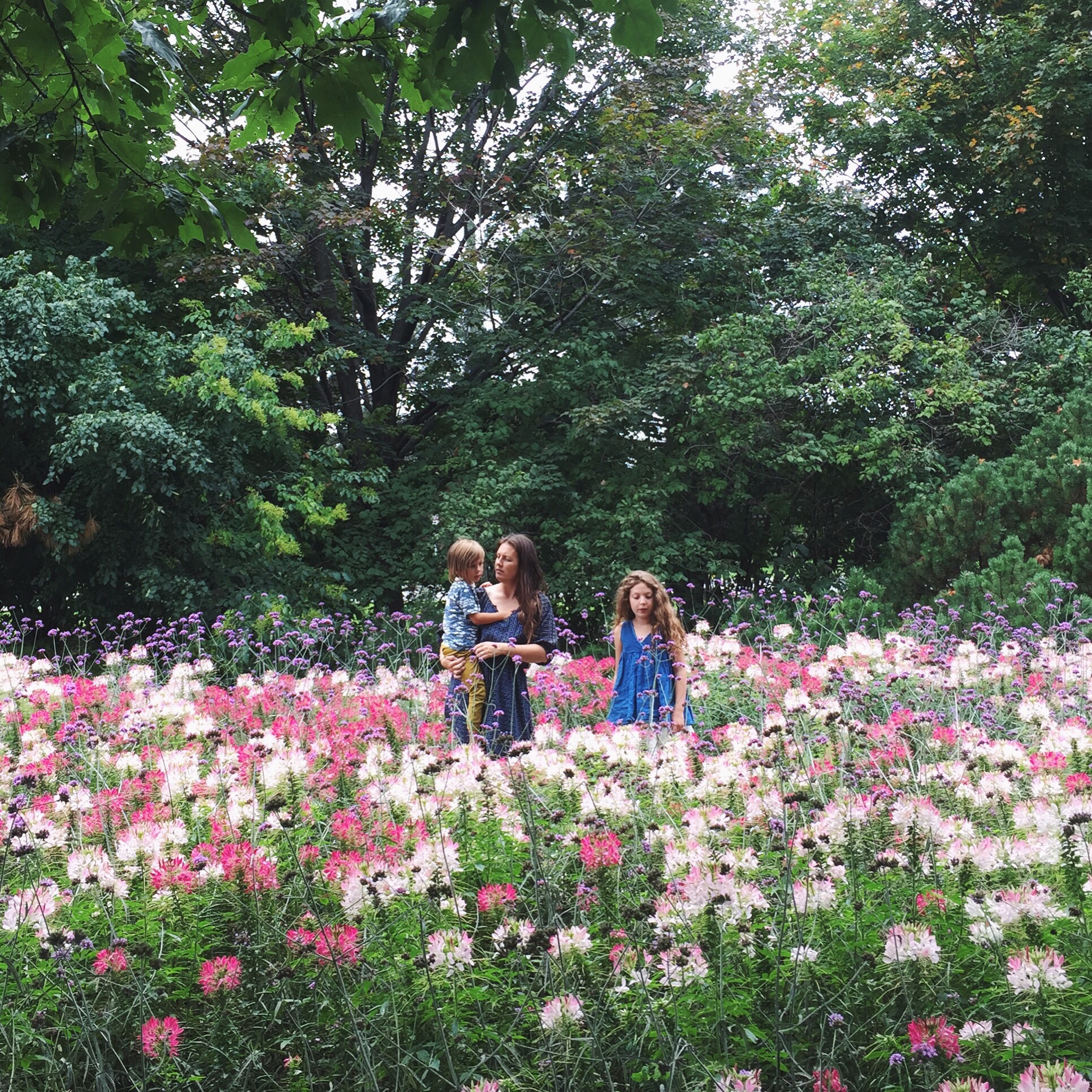 Danielle Chassin Hippie in Disguise in flower garden