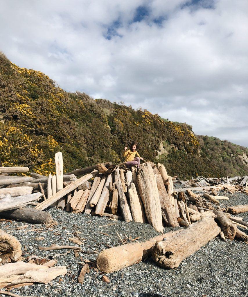 Family Travel Victoria BC Canada Dallas Beach Petits Villains Drift Wood