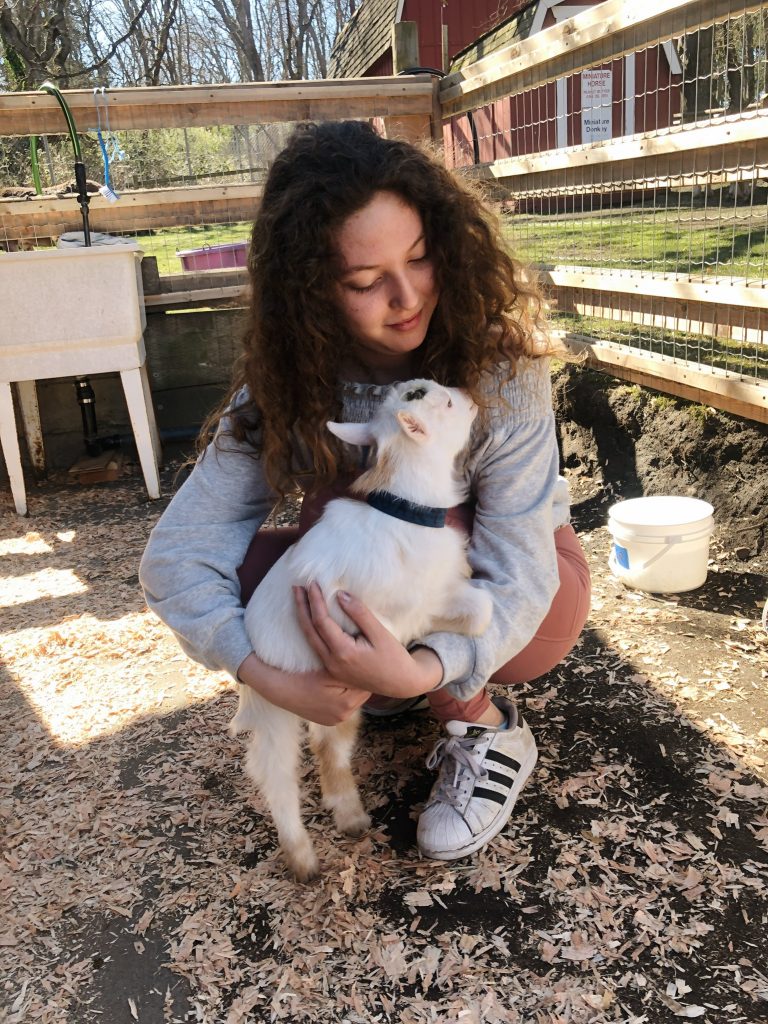 Family Travel Victoria BC Canada Goat Sanctuary